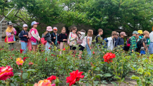 Grupa dzieci stoi wśród kwiatów
