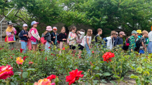 Grupa dzieci stoi wśród kwiatów